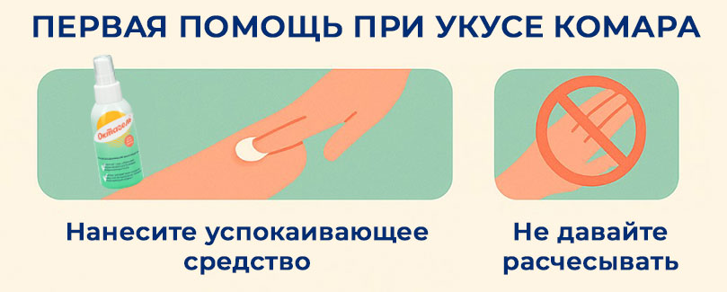 после-на-место-укуса-наносят-охлаждающий-гель-или-лосьон-с-успокаивающим-действием-они-продлевают-эффект-холода-и-дополнительно-снимают-зуд после-укуса-комара